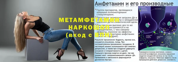 стафф Касимов