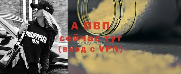 стафф Касимов