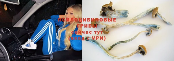 эйфоретик Карталы