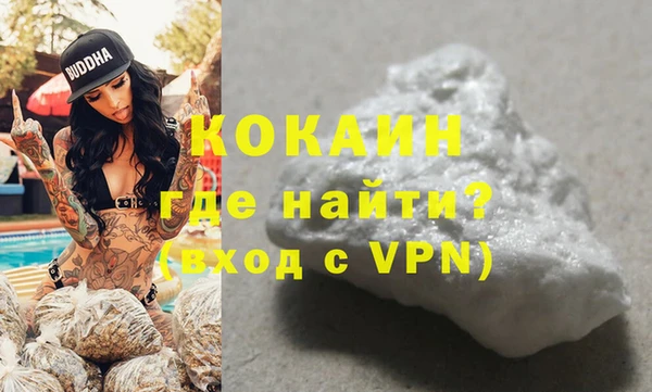 стафф Касимов
