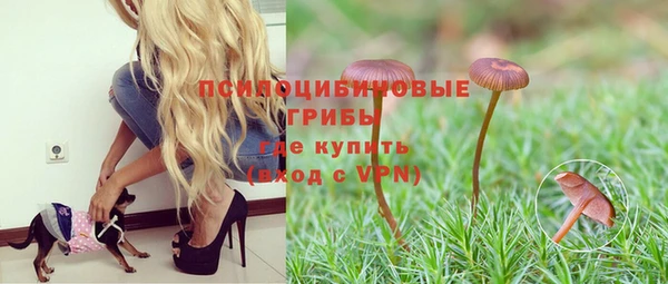 эйфоретик Карталы