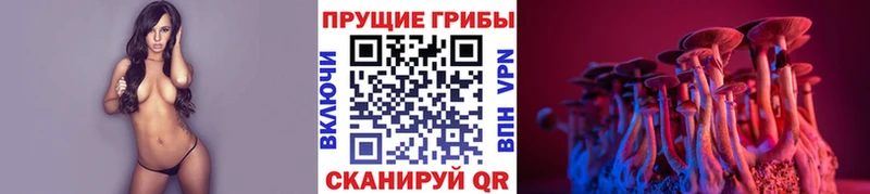 Галлюциногенные грибы GOLDEN TEACHER  Купить закладки  Рыльск 